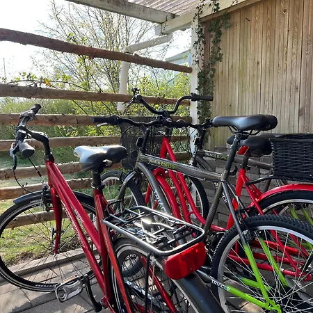 Goodvibe House 度假居 *